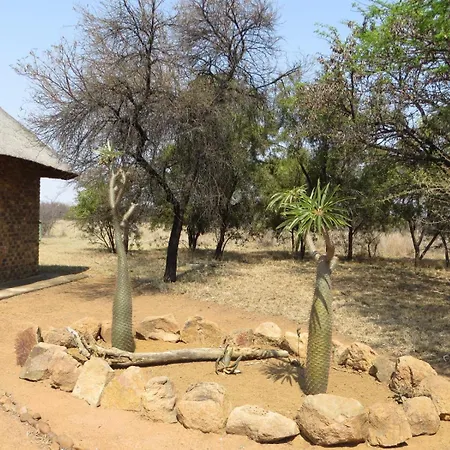 Isilwane Bush Camp Dinokeng Game Reserve-2